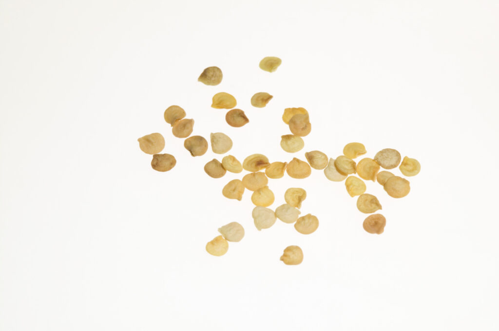 How Long To Soak Seeds in Hydrogen Peroxide